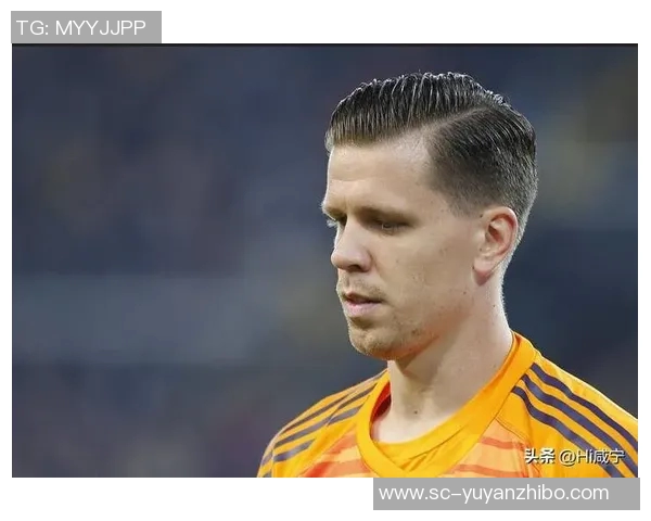 勇气背后的伪装:什琴斯尼的勇敢之道