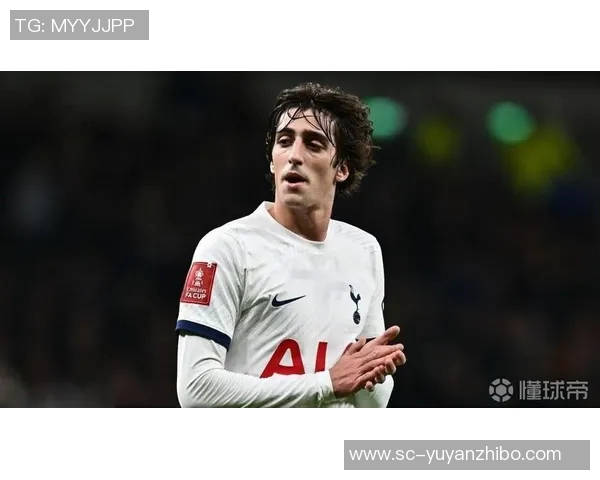 邮报：热刺即将签下穆阿尼，希尔将以860万镑转会赫罗纳